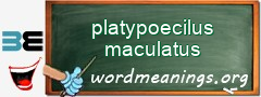 WordMeaning blackboard for platypoecilus maculatus